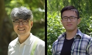 광견병' 정밀 표적하는 NIR-II 나노테라노스틱 최초 개발