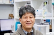 교모세포종 치료 효과 높인 광면역나노플랫폼 개발