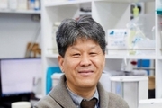 교모세포종 치료 효과 높인 광면역나노플랫폼 개발
