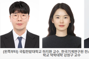 벌침 모사형 유연 나노섬유 마이크로 니들 최초 개발